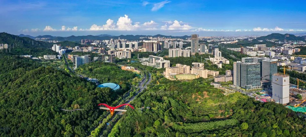 市發(fā)展改革委組織召開廣州實驗大動物產(chǎn)業(yè)高質(zhì)量發(fā)展工作座談會