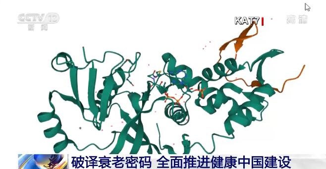 b30f78dd916afadf54d216c0a0b85ea7_2021111512184133239.jpg