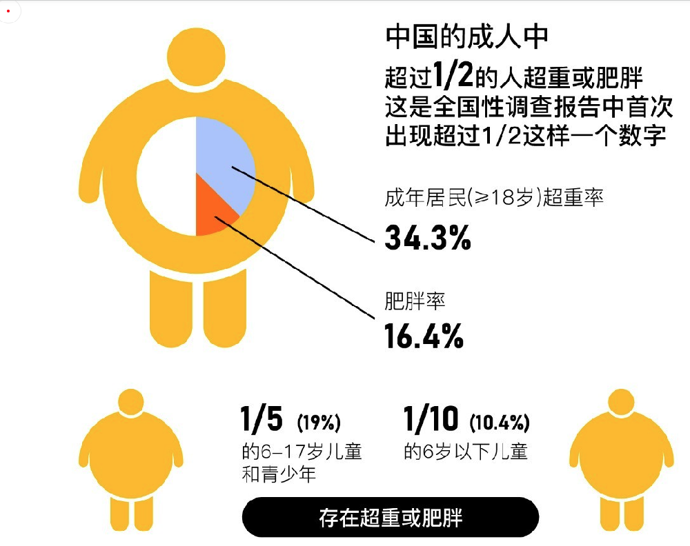 肥胖研究模型