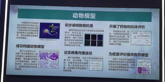 我單位COVID19疫苗保護性的動物模型評價技術亮相國家十三五科技創新成就展