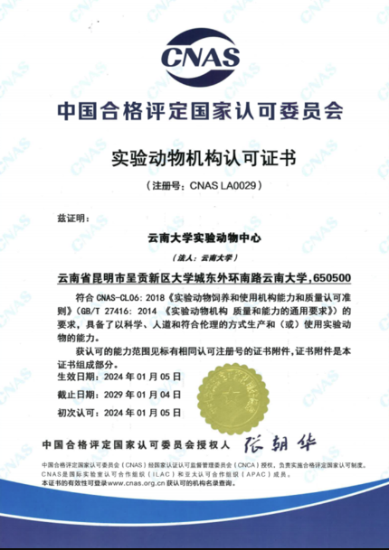 【云南】云南大學(xué)實驗動物中心順利通過CNAS實驗動物機構(gòu)認可