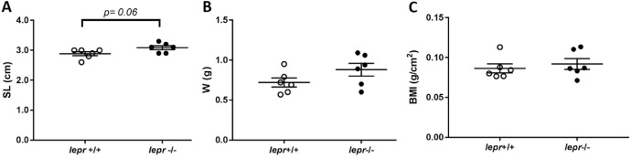 1-s20-S0303720722000429-gr2.jpg