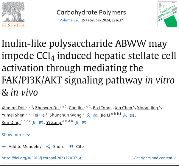 Carbohydr Polym | 上海藥物所合作發(fā)現(xiàn)菊粉樣果聚糖ABWW可通過(guò)抑制肝星狀細(xì)胞活化改善肝纖維化