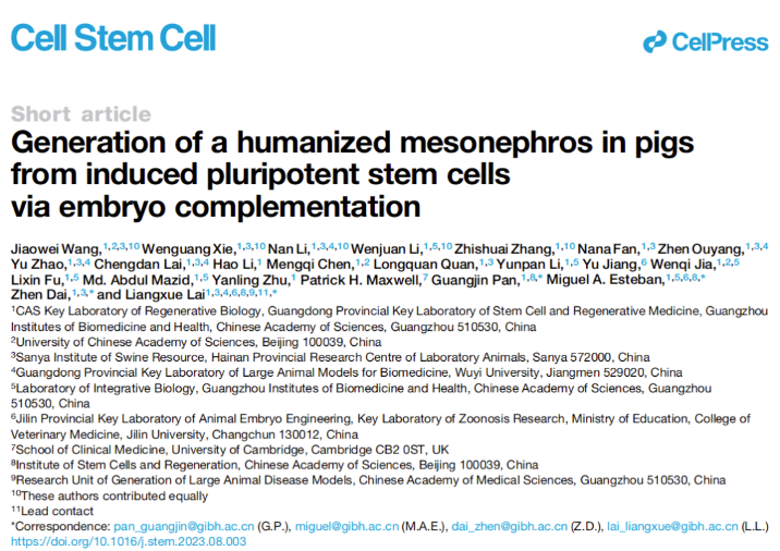 登上Cell Stem Cell封面：我國學者成功在豬體內培養出實體人源器官-江蘇網站制作