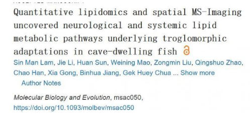 Molecular Biology and Evolution：穴居魚類神經(jīng)和全身脂質(zhì)代謝途徑的洞穴適應(yīng)研究取得進(jìn)展