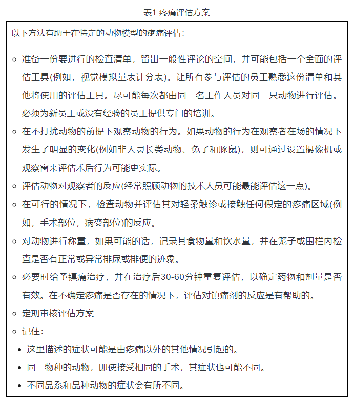 實驗動物疼痛的識別和評估-江蘇網站制作